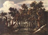 Jacob van Ruisdael - The Marsh In A Forest